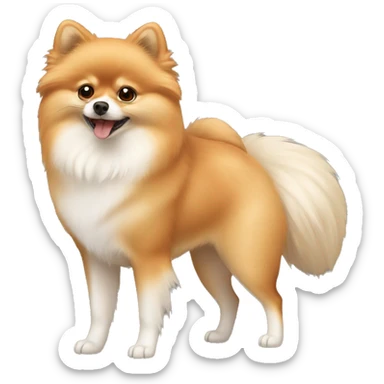 Beige and white Pomeranian with a fox face sticker