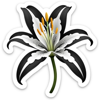 an outline of one singular lily flower, no colour,just outline sticker