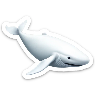 white whale , underside sticker