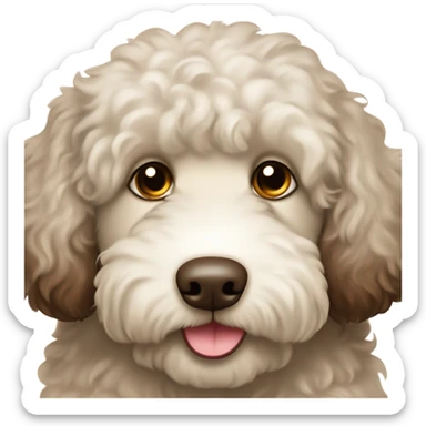 Cream and chocolate brown with spots chubby labradoodle with white chest and dark brown eyes  sticker