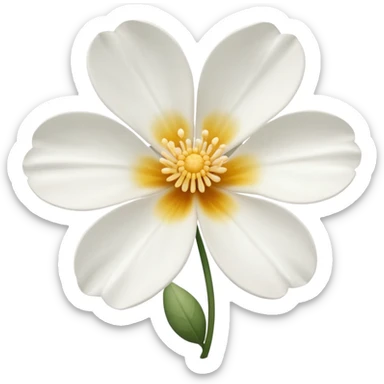 Flor de Lopus branco mas ver ao lado  sticker