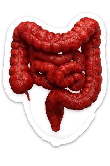 intestino infiammato iperrealistico 4k sticker