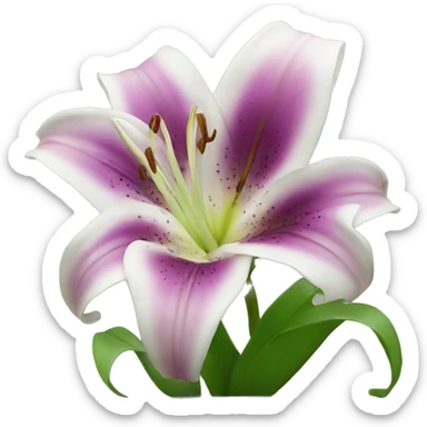 lily flower sticker