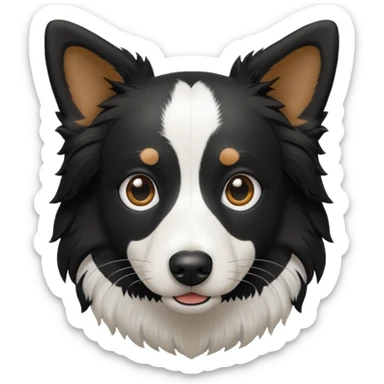 border collie preto e branco fotografo 
 sticker