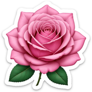 Polaroid photo of a pink rose  sticker