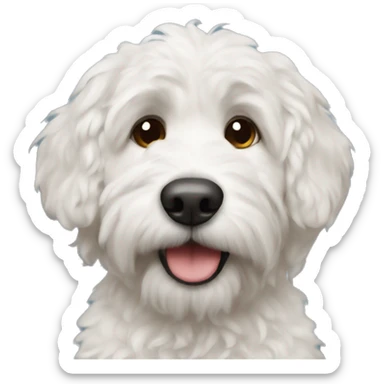 Bernidoodle dog sticker