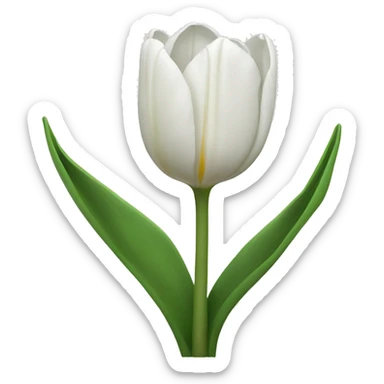 White tulips sticker