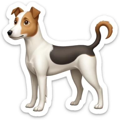 a full body large white parson russell looking dog the size of a kelpie with light brown ears and a light brown patch on one eye and a large snout sticker