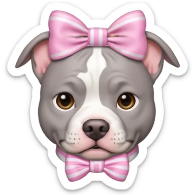 Fully Gray Pitbull with a white stripe on his head and a pink bow sticker