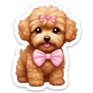 Red Maltipoo, with pastel pink bow sticker