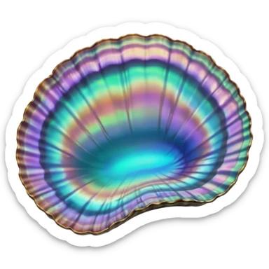 abalone shell, iridescent, simple sticker