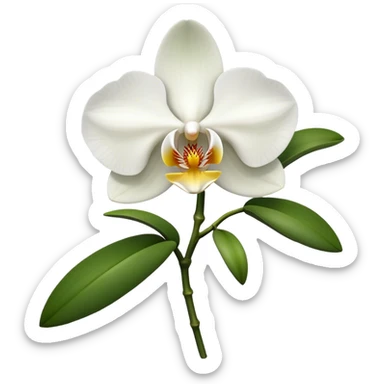 Orchid flower sticker
