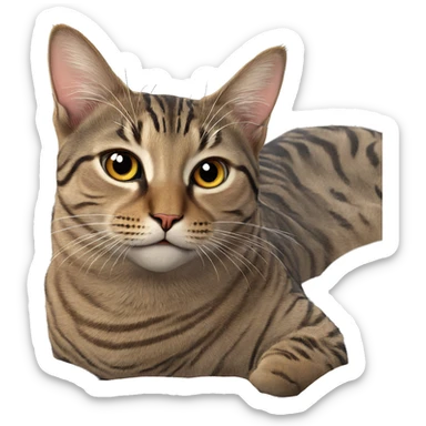 realistic cat looking at viewer sticker