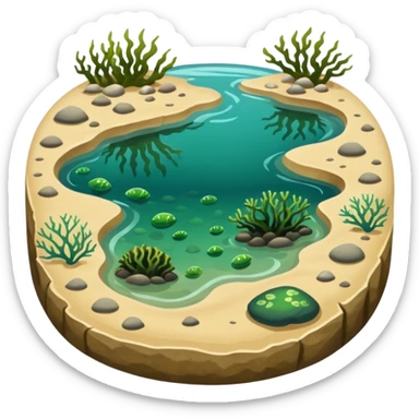 Tide pool sticker