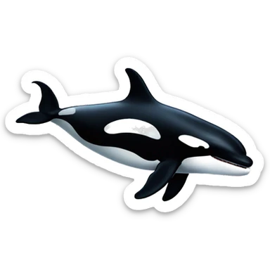 Killer whale sticker