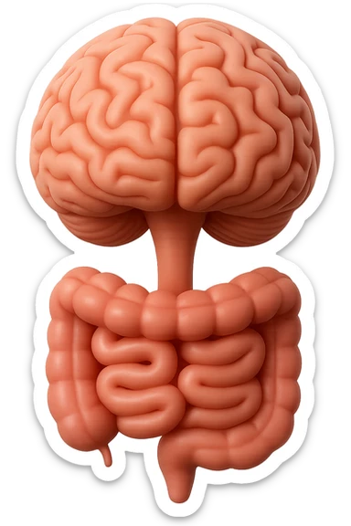 emoji stile iphone in 3d di cervello e intestino collegati verticalmente, iperrealistico 4k sticker