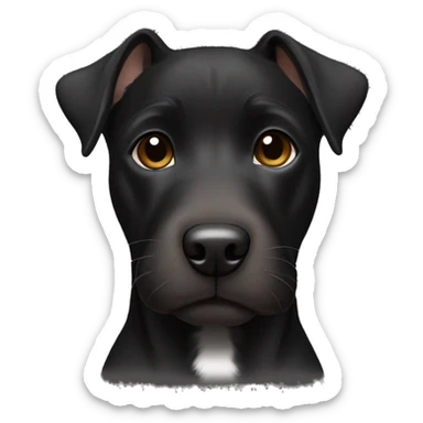 A black Patterdale Terrier dog with a white patch on its chest and brown eyes.  sticker