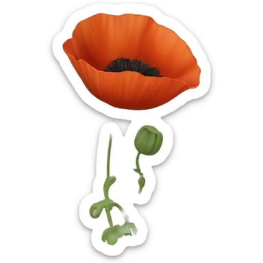 poppy sticker
