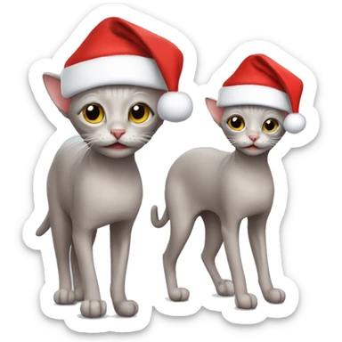 Hairless cat wearing Santa hat sticker