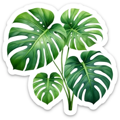 A lush monstera plant with large, split leaves, depicted in watercolor with realistic shading and texture.
 sticker