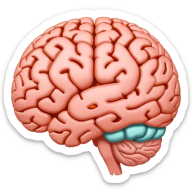 Brain being fully developed at the age of 25 sticker