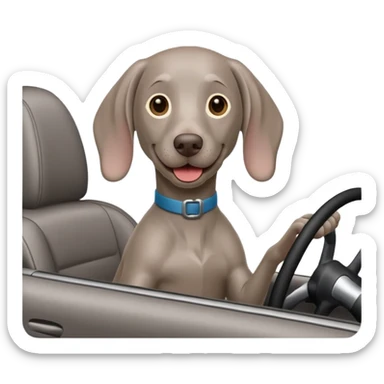 weimaraner driving  sticker