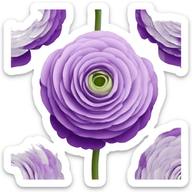 Ranunculus in purple sticker