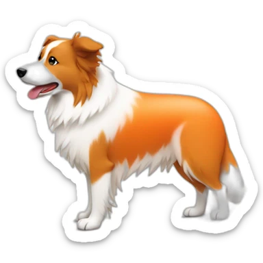 white tan border collie in orange wheel chair sticker