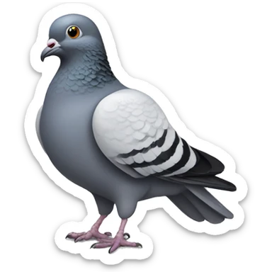 Pigeon  sticker