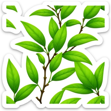 Fresh green tea buds with young tender leaves sticker