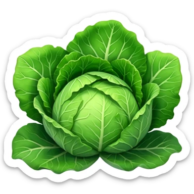 cabbage sticker
