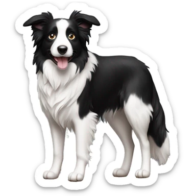 Border collie  sticker