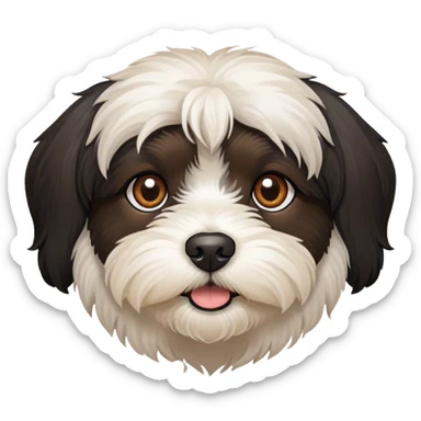 black Havanese dog face with brown eyes sticker