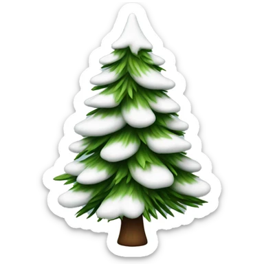  actual white fir christmas tree isolated.  sticker