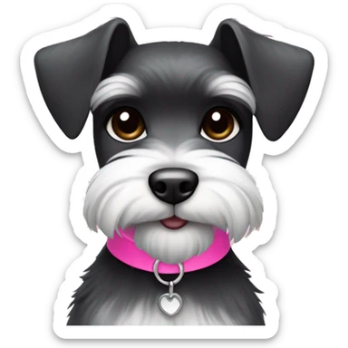 miniature schnauzer, black and white fur with a pink collar, cute sticker