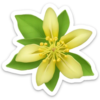 Ashwagandha flower with greenish-yellow petals and a central yellow stamens emojis sticker
