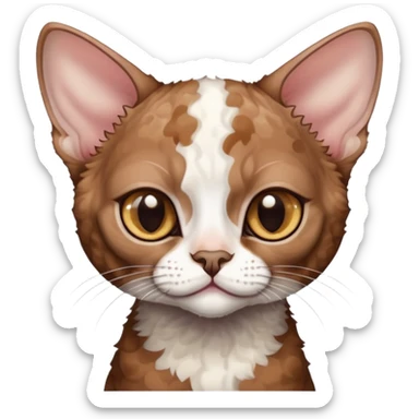 Brown cat devon-rex with white spots sticker