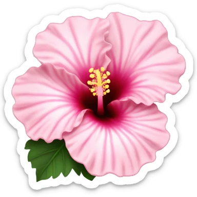 light pink hibiscus flower sticker
