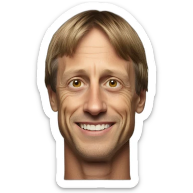 Tony hawk sticker