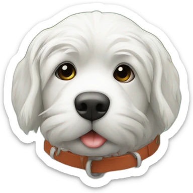 a epagneul breton on the beach sticker