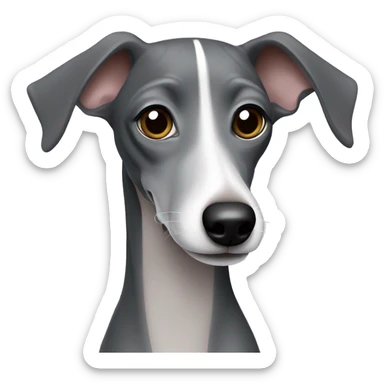 Dark grey Italian greyhound with lighter grey snout sticker