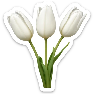 white tulips sticker