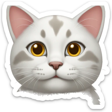 cat  sticker