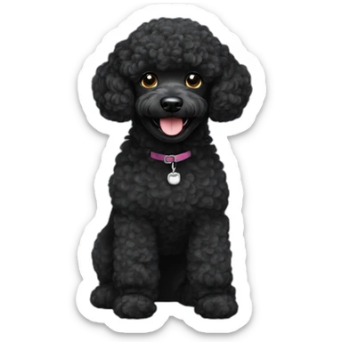 black mini poodle boy dog smiling sticker