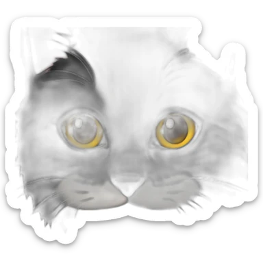 black cat close-up shows like sticker