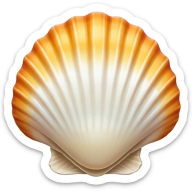 pretty white beach shell sticker