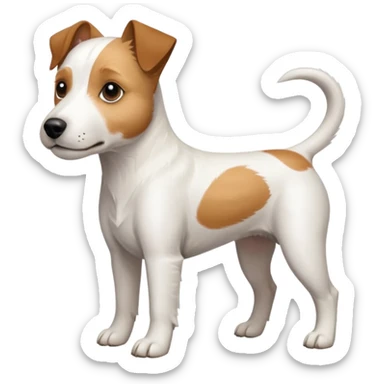 a full body white parson russell looking dog the size of a kelpie with light brown ears and a light brown patch on one eye and a large snout sticker
