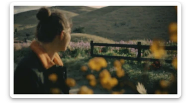 A portrait of a person in the foreground, blurred plants in the foreground (close to the camera), a wooden fence and colorfull flowers in the midground, rolling hills in the background, cinematic depth of field, layered composition, natural lighting sticker
