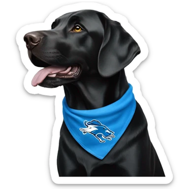 Large Black Lab dog in a Detroit Lions bandana  sticker