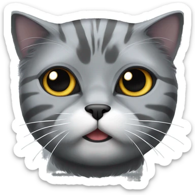 A gray Persian cat with dark and light gray stripes and a deep gray face sticker